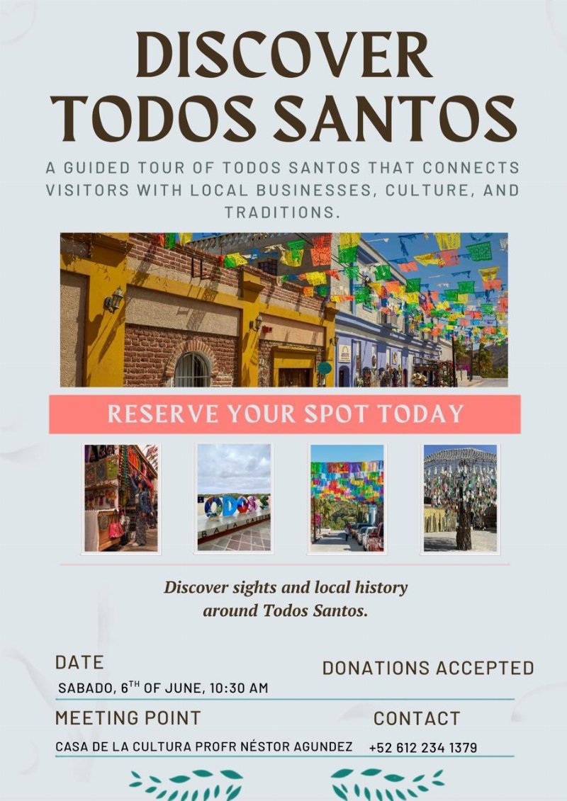 Discover Todos Santos