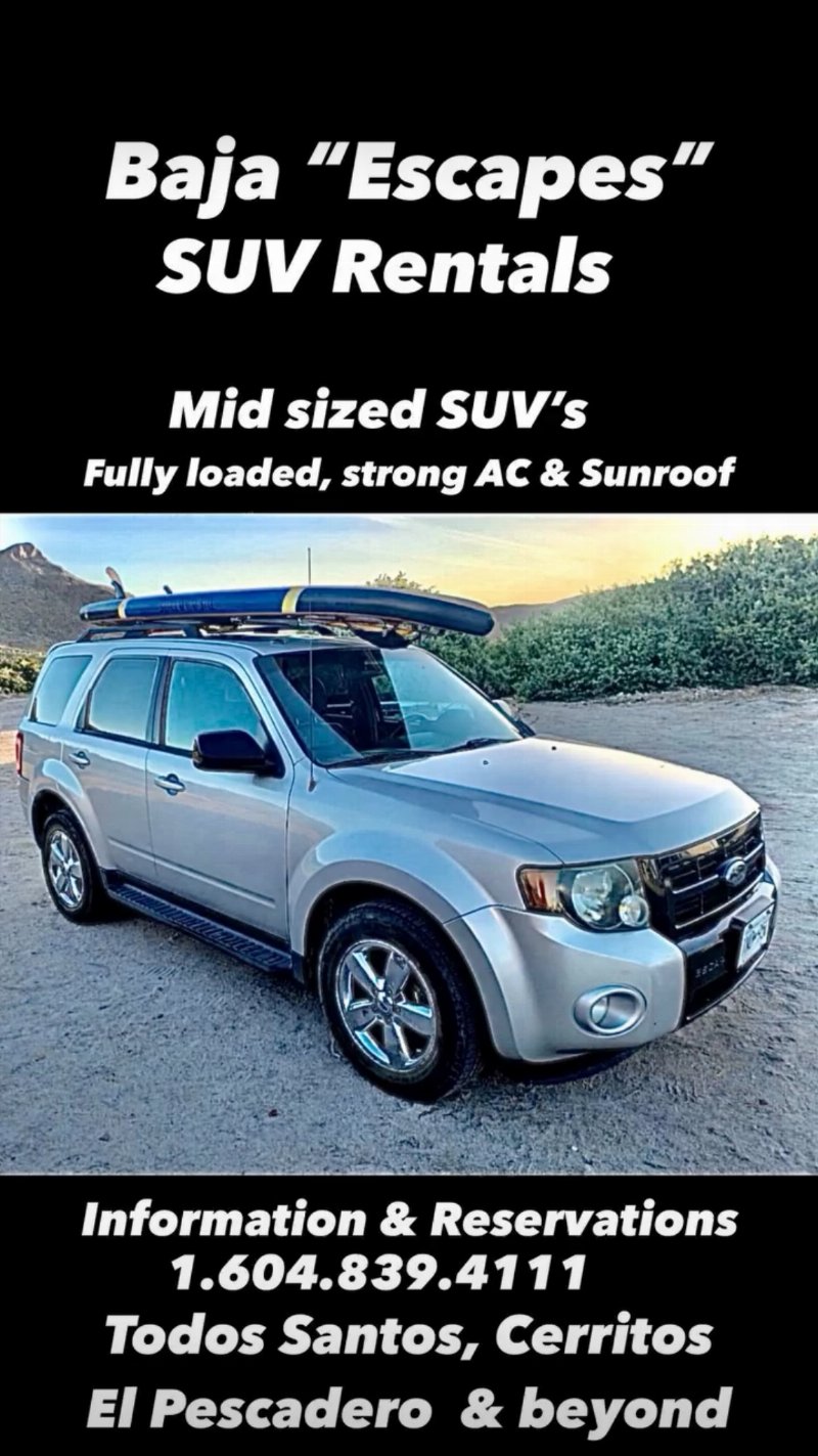 SUV Rentals